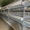 Buy cheap Hot Dipped Galvanized Chicken Farm Cage 5 Layers / Cell from wholesalers