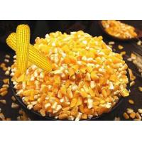 Buy cheap Premium Corn Major Agricultural Products , Agricultural Food Products Dried product