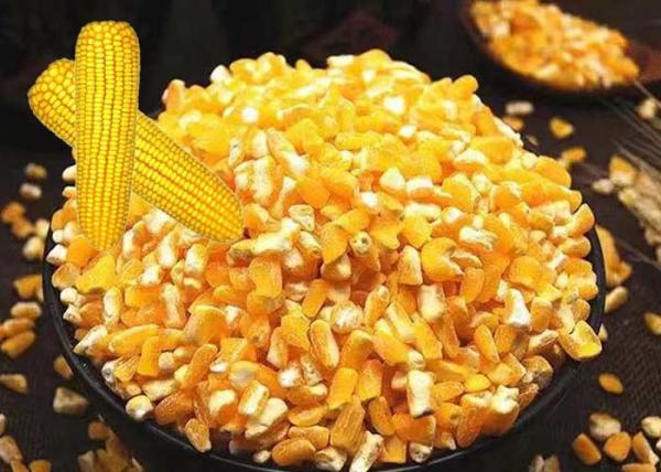 Premium Corn Major Agricultural Products , Agricultural Food Products Dried