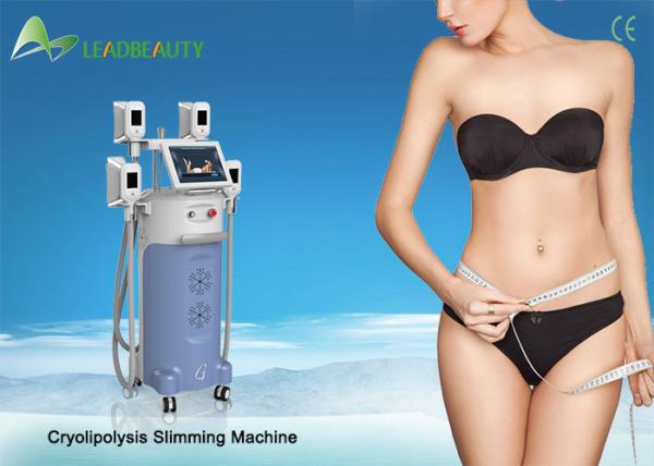 Buy cheap (Hot in USA ) Medical CE 4 handles cool cryolipolysis slimming machine from wholesalers