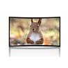 Buy cheap 180 or 360 degree Immersive 3D Curved Projection Screen for Home Cinema from wholesalers