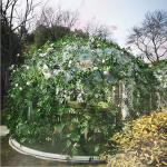 Diameter 3.5m Clear Outdoor Bubble Tents Fire Resistant For Restaurant