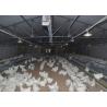 Buy cheap 16 Holes Broiler Breeder Egg Nest Collection System 610mm Height from wholesalers