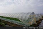 High Performance Greenhouses Insect Mesh Netting 48% Porosity Easy Installation