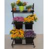 Buy cheap Movable Flower Shop Display 100kg Loading Capacity 445X795X1160 MM Size from wholesalers