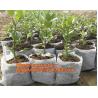 Buy cheap Waterproof, Garden, Patio Plant, Flower, Grow Bags, 8 Pockets, Pouch, Hanging Planter from wholesalers