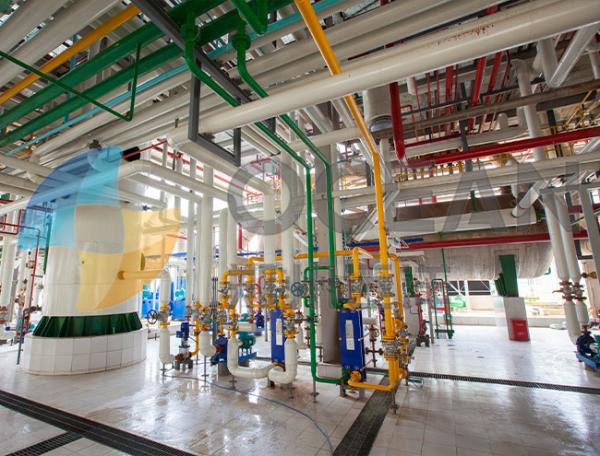 Buy cheap Turnkey Edible Oil Extraction Equipment Corn Germ Oil Pressing from wholesalers
