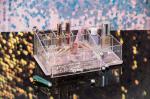 Pink Glitter Bottom Clear Plastic Makeup Organizer