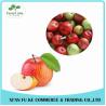 Buy cheap Prevent Vitamin Loss Apple Extract Apple Polyphenols Powder from wholesalers