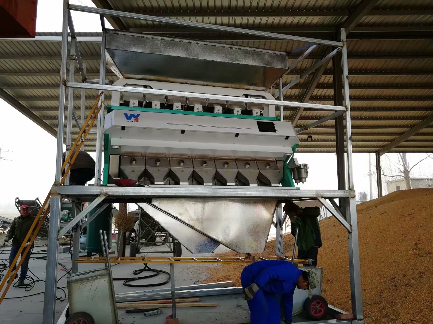 2022 Customized Top Quality Broad Beans Color Sorter Grading Machinery with 2 Chutes