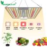 Buy cheap Heat Dissipation 65W 150W Led Grow Light Circuitry Design For Indoor Plant from wholesalers