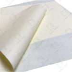 High PPI Opacity White and Creamy Bible Paper Dictionary Paper Available Sheet