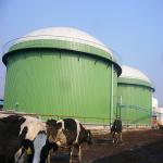 Roof Top Double Membrane Biogas Holder Aging Resistant With Stable Pressure