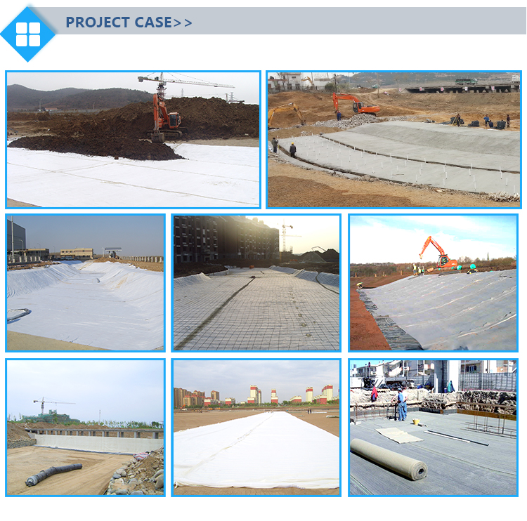 5-Layer ASTM Bentonite Geosynthetics Clay Liner Waterproofing Geotextile with PE Film