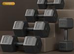 Cast Iron Hex Dumbbells Adjustable Home Gym Fitness Equipment Steel Free Weights