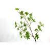 Buy cheap Texture Fidelity Artificial Tree Branches Of Greenery Umbrella 66 Cm 102 Cm from wholesalers