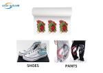 DTF Printer Transfer DTF PET Film Cold Peeling Heat Press PET Film