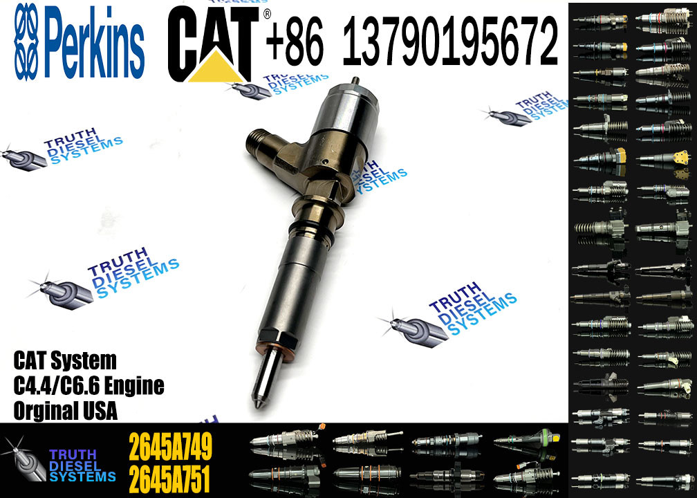 Common Rail Injector 2645A749 2645A747 10R-7671 10R-7672 2645A718 10R-7673 10R-7676 2645A734