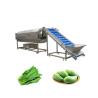 Buy cheap Rotary Drum Herbal Cleaning Machine for Washing 300 KG of Walnuts and Pumpkin Seeds from wholesalers