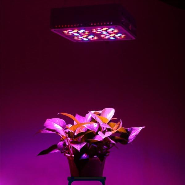 Buy cheap Apollo 4 LED grow light 60*3W griculture Greenhouse,hydroponic systems from wholesalers