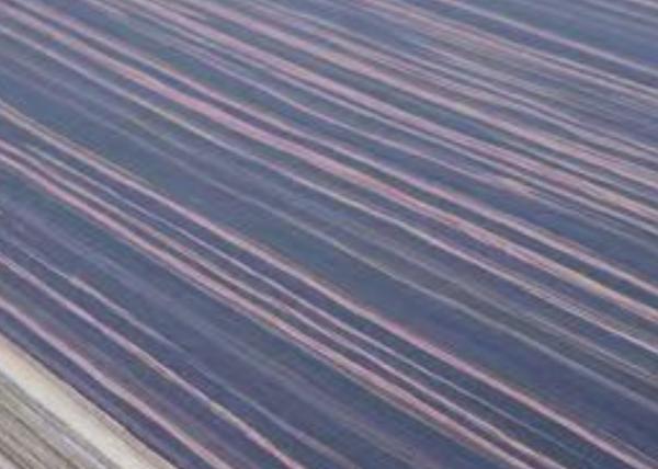 Buy cheap Ebony Veneer Sheets 3-25mm Thick 1.22m Width 2.44m Length from wholesalers