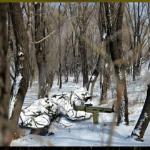 Camouflage Ghillie Suit Camo White Snow Bionic Suit Clothing 3xl 4xl