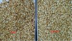 256 Channels Nuts Color Sorter 4 Chutes 99% Sorting Accuracy
