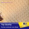 Buy cheap PLASTIC LENTICULAR 3d fly-eye plastic sheet material Spherical lenticular grating from wholesalers