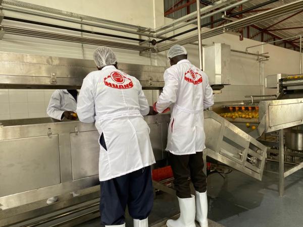 Buy cheap Customized 10T/H SS Mango Pulp Production Line from wholesalers