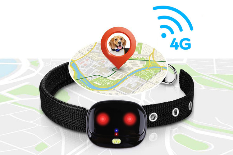 Smart Mini Pet GPS Tracker Micro Positioning For Walking Dogs