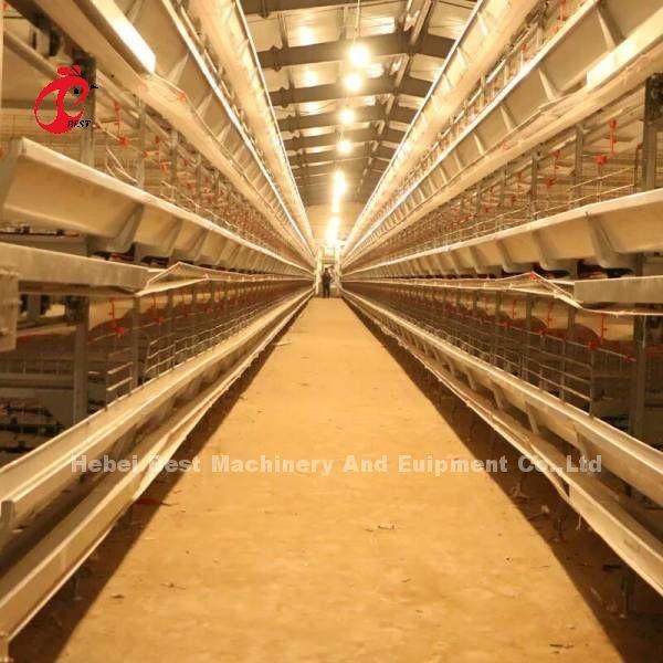 Buy cheap Full Automatic H Type Battery Cages Hens Is Hot Sale In Africa Market Mia from wholesalers