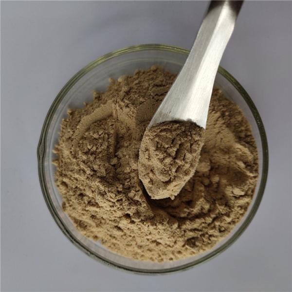 Buy cheap wholesale price of fucoxanthin with best price from wholesalers