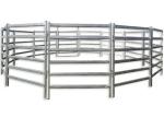 Feedlot Horse Corral Panels With Gates Clamps Connectors Safety Guarantee