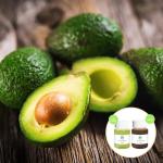 Organic Extra Virgin Avocado Essential Oil Extracted From Dried Fruits