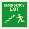 Buy cheap Safety Right Photoluminescent Signs Signs Glow In The Dark Exit Lights from wholesalers
