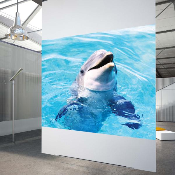 Buy cheap High Contrast White Rear Projection Film 3D Holographic Projection Film For Shop Windows from wholesalers