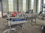 Stainless Steel 4.4KW Cabbage Washing Machine for Vegetable and Salad Sterilizat
