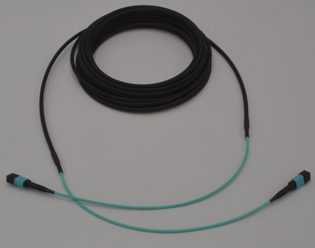 24 Core MPO MTP OM4 5.5MM Double Sheath Trunk Cable With 30cm Tail