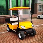 2 Seater EV GC Golf Carts Street Legal LSV Customizable Color For Hotel And Club