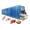 Buy cheap Frozen Vegetables Processing Line Belt IQF Freezer With Stainless Steel 304 1000kg/H from wholesalers