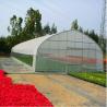 Buy cheap 100 Micron PE Film Greenhouse Single Layer Plastic Tunnel Greenhouse from wholesalers