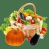 Buy cheap Electric Fruit Vegetable Processing Machine Kitchen OEM ODM 1.75L from wholesalers