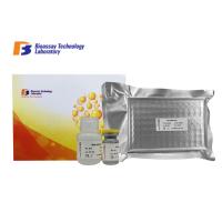 Buy cheap Customized Rat Glial Cell Line-derived Neurotrophic Factor ELISA Kit GDNF product