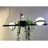 Buy cheap Blown Glass Chandelier Dinning Room Chandeliers Pendant Lights Kitchen Hanging Light from wholesalers