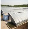 Buy cheap 2000.000kg Juxiang's Commercial Sunlight Greenhouse for Strawberry Farming jx-sg-108 from wholesalers