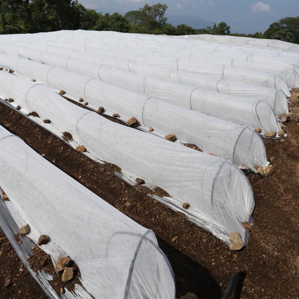 Buy cheap Non Woven Agricultural Weed Control Mat PP Spunbond Nonwoven Fabric With 3% UV from wholesalers