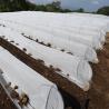 Buy cheap Agriculture Biodegradable Extra Wide Nonwoven PP Spunbond Fabric For Winter from wholesalers