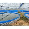 Buy cheap 0.3mm 0.5mm 0.75mm Shrimp Farm Liner Geomembranes for Fish Breeding and Landfill Liner from wholesalers