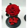 Buy cheap Never Withered Flowers Preserved roses Live Enchanted Rose in Glass Dome Cover with Gift Box rose from wholesalers