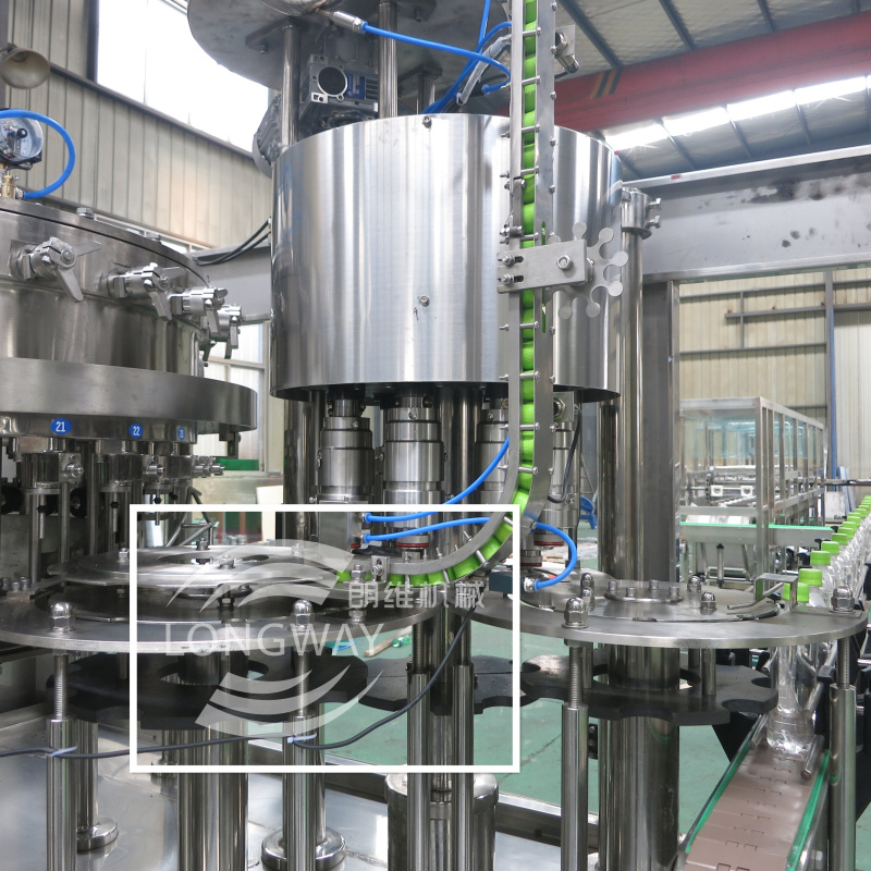 Zhangjiagang Longway 2000-9000BPH Small Carbonated Soft Drink Filling Machines